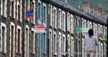 2025 will be a 'buyer's market' with more house sales, property experts predict