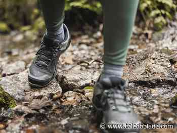 Metroparks sponsoring adult evening hiking group