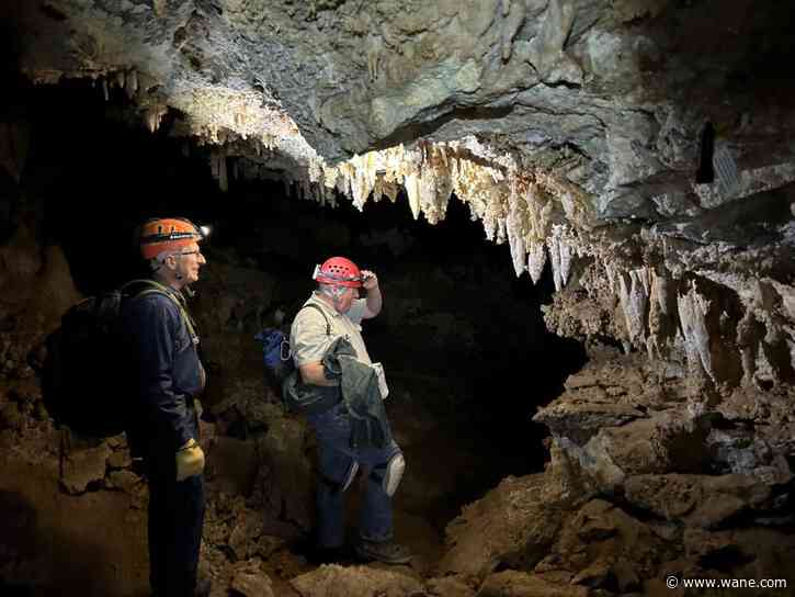 26,000-year-old Ice Age fox recovered in Utah cave