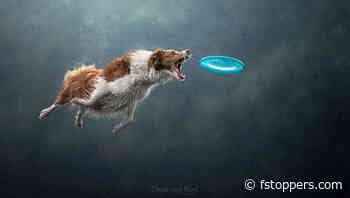 Fstoppers Photographer of the Month (December 2024): Chris Van Riel