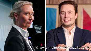Allianz mit der AfD: Milliardär Musk plant Live-Talk mit Weidel