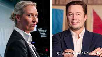 Allianz mit der AfD: Milliardär Musk plant Live-Talk mit Weidel