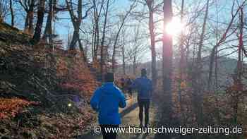Zwischen Brocken und Schloss Wernigerode: Jahresabschied zeigt das Beste vom Harz