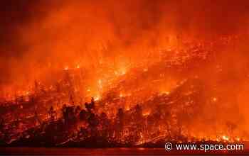 'Ambitious climate action is more urgent than ever:' 3 Climate records broken in 2024