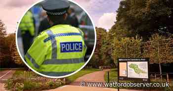 Man arrested after 'stabbing' in Cassiobury Park