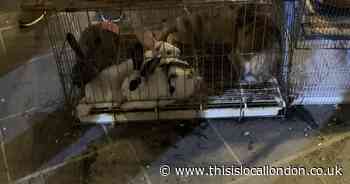 Behind bars; A feeling of constant suffocation