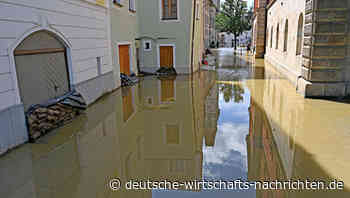 Ist eine Elementarschadenversicherung sinnvoll? Das müssen Immobilieneigentümer wissen!