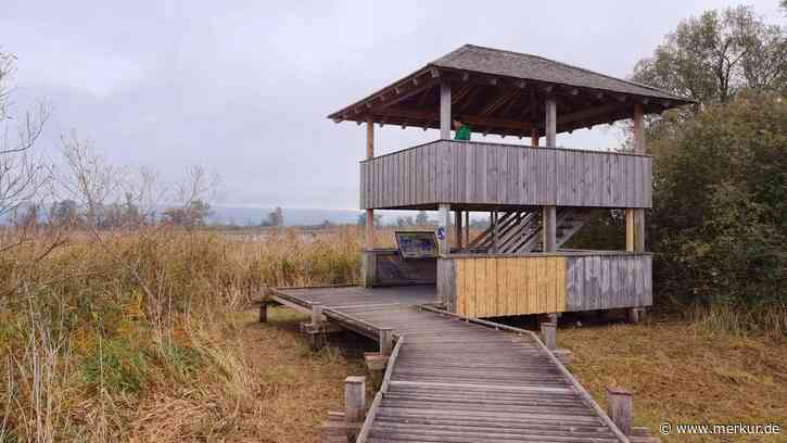 Aussichtsturm in Dießener Seeanlagen bald wieder zugänglich