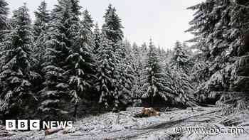 Stunning pictures from across the West in 2024