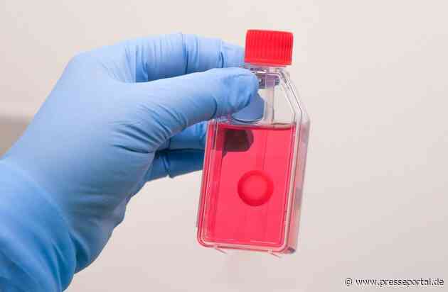 Mehr Gewebespenden trotz gesunkener Spendenbereitschaft / DGFG veröffentlicht Jahreszahlen zur Gewebespende 2024