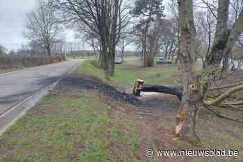 Porsche in brand na klap tegen boom in Dilsen: een inzittende overleden
