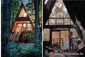 Boomhuttenpark heropent na verwoestende brand: “Het gaat wat tijd kosten om dit een plaats te geven”