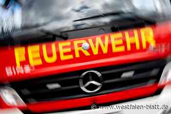 Dach brennt kurz nach Mitternacht in Borgentreich