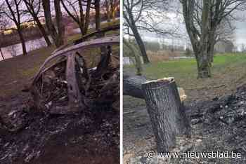 Porsche met drie inzittenden rijdt tegen boom, een persoon overleden