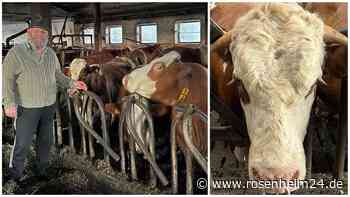 Neues Jahr, neue Hoffnung? Wie es für Bauer Wast B. und seine Kühe bei Bad Endorf weitergeht