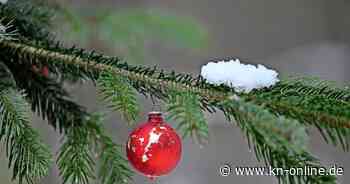 Sammelstelle: Tannenbaum-Entsorgung Kreis Plön - Christbaum entsorgen 2025