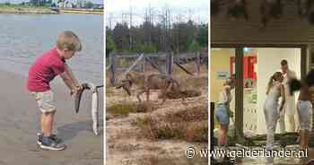 Nog even terugkijken: dit zijn de 10 meest bekeken video’s van 2024