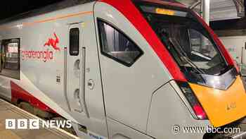 Fallen tree causes railway line disruption