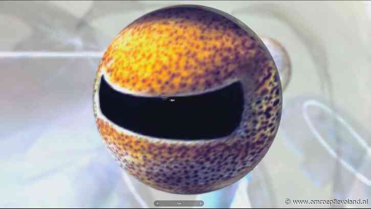 Lelystad - Hoe een klein bedrijfje uit Lelystad met anatomische modellen de hele wereld wil veroveren