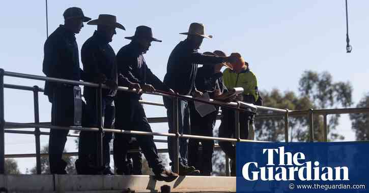 What will 2025 bring for Australian agriculture? Here are five things to look out for