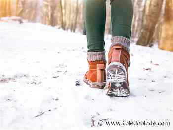 Winter trail walks begin at Maumee Bay State Park