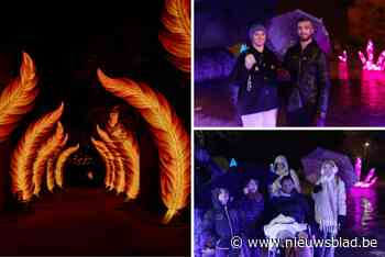 Lichtfestival Planckendael ontruimd door hevige rukwinden: “Enkele takken gevallen en kunstwerken omgewaaid”