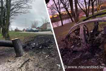 Porsche vliegt in brand na klap tegen boom in Dilsen: Nederlandse passagier (23) overleden, bestuurder (23) onder invloed