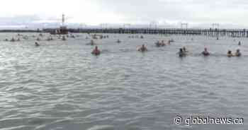 Thousands participate in Polar Bear Swims around B.C.