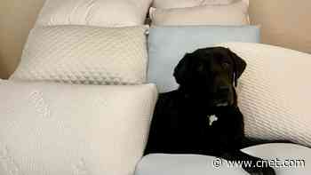 Best Pillows for Back Sleepers in 2025