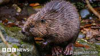 A year in pictures: Images of Cornwall from 2024