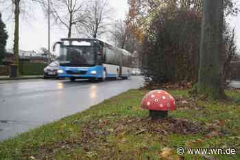 Das steckt hinter den Pilzen in Münster