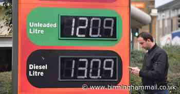 One in three drivers will to give up petrol or diesel car next year