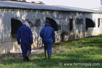 East Yorkshire poultry farm confirms case of bird flu