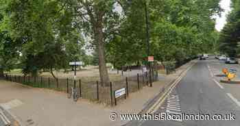 Car crashes into pedestrians in hit and run just after midnight on New Year's Day