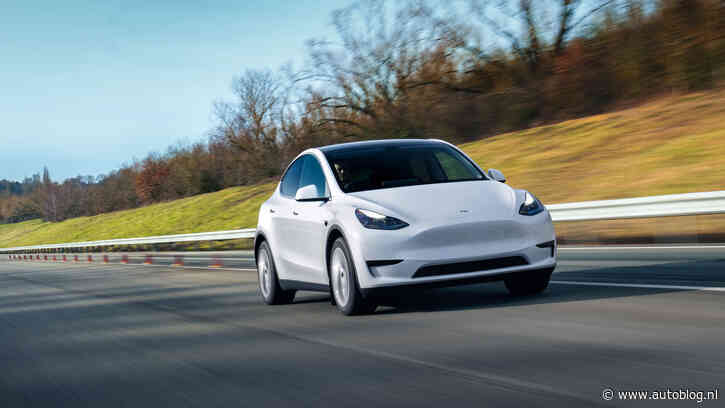 Model Y met afstand bestverkochte auto 2024, VW zakt weg