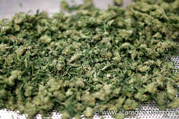 Green extends protections for cannabis-patient caregivers