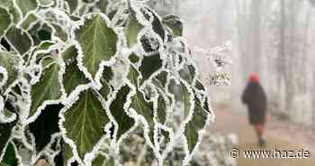 Schnee und Frost erwartet: In Hannover wird es kalt zum Wochenende