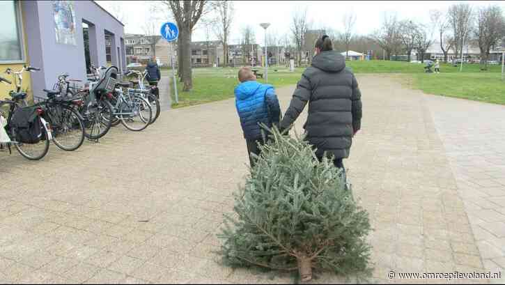 Flevoland - Waar kan je in jouw gemeente terecht met je afgedankte kerstboom?