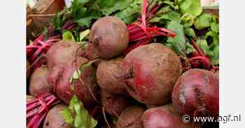 "Rode bieten met mate consumeren voor de beste gezondheidsvoordelen"