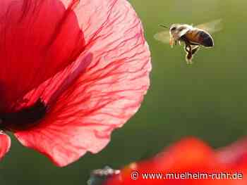 Aktuelle Angebote der Stabsstelle Klimaschutz und Klimaanpassung - Januar 2025