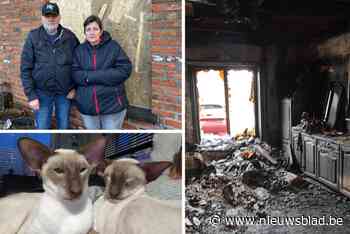 Verwoestende brand legt woning van Petra (51) en Eddy (57) in de as: 24 katten en honden overleven het niet