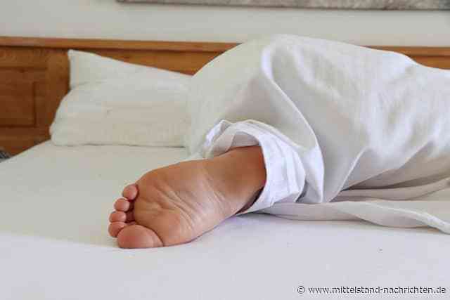 Wirtschaftliche Bedeutung des Matratzenkauf