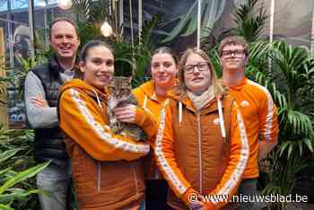 Kater Flor is na meer dan een maand terug thuis in Floralux: “Het mooiste nieuwjaarsgeschenk”