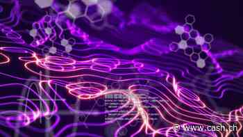 Diese fünf amerikanischen KI-Aktien könnten 2025 zu den grossen Gewinnern gehören