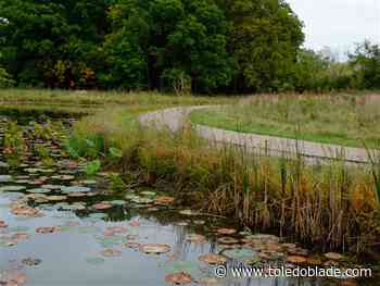 W.W. Knight park in Perrysburg closes for restoration work