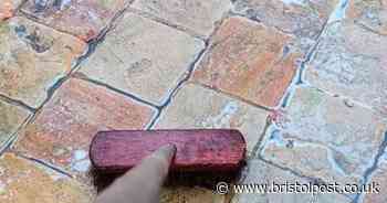 Banish dangerous moss from patios using 1 common staple - not vinegar or baking soda