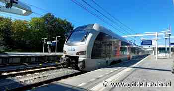 Duitse trein op weg naar Arnhem geraakt door boom: 38 passagiers moeten door bos naar buitenwereld