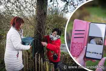 Vrijwilligers zoeken met drone en speurhond naar vermiste honden na eindejaarsvuurwerk: “Vorig jaar op eigen kosten 30.000 kilometer gereden”