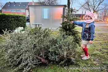 Genkenaren kunnen hun kerstboom gratis dumpen op 22 plekken in hun stad
