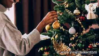 De kerstboom: waarom zetten we hem eigenlijk en tot wanneer?